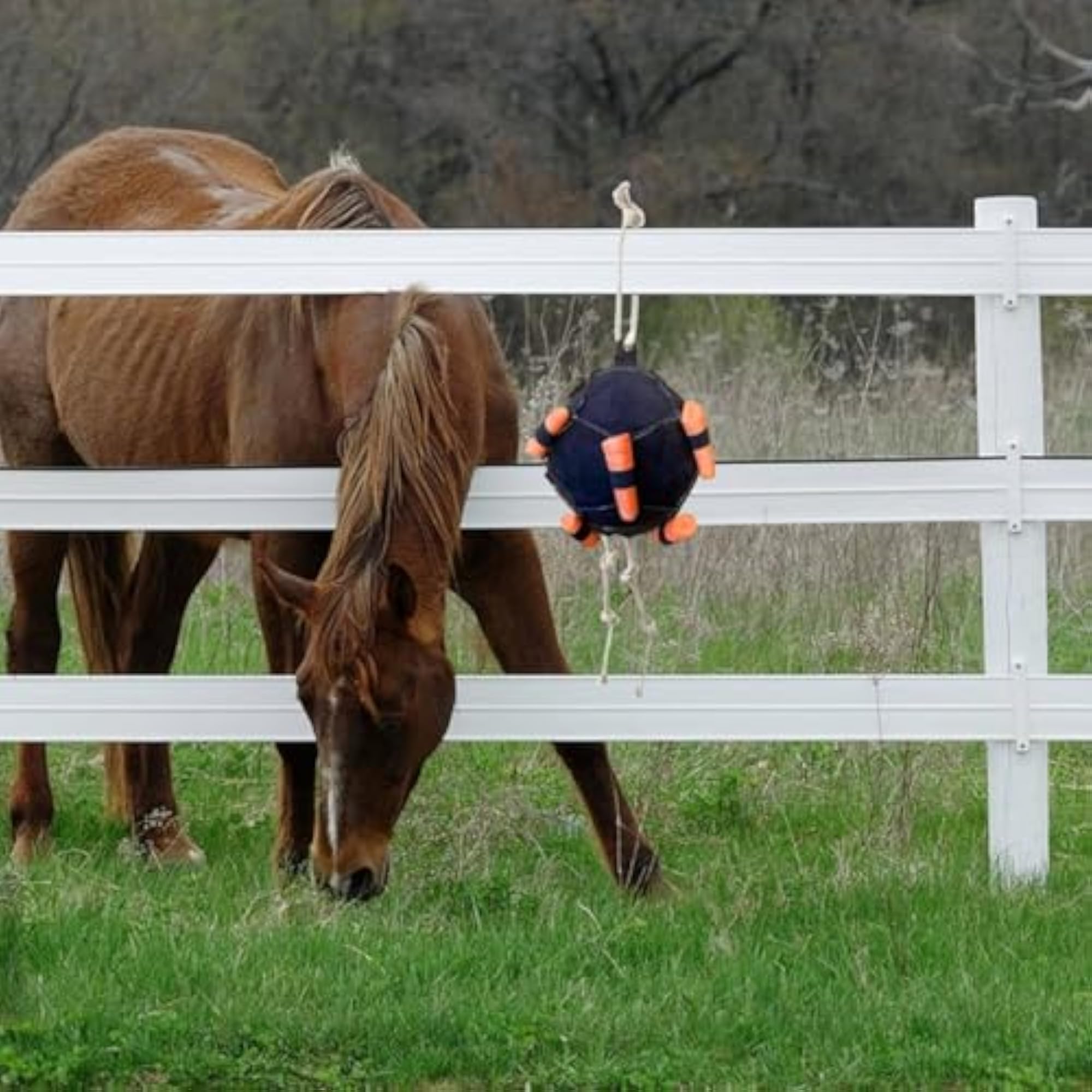 Easy to Fill Horse Feed Ball, Sturdy Carrot Feeding Toy